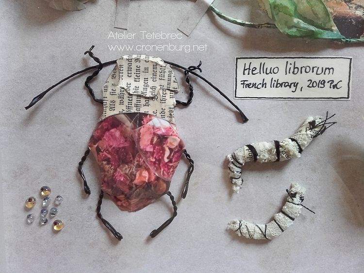 Paper art beetle with rose coloured wings and a book paper head and thorax, glassy eggs and white larvae containing letters. Helluo librorum from a French library.