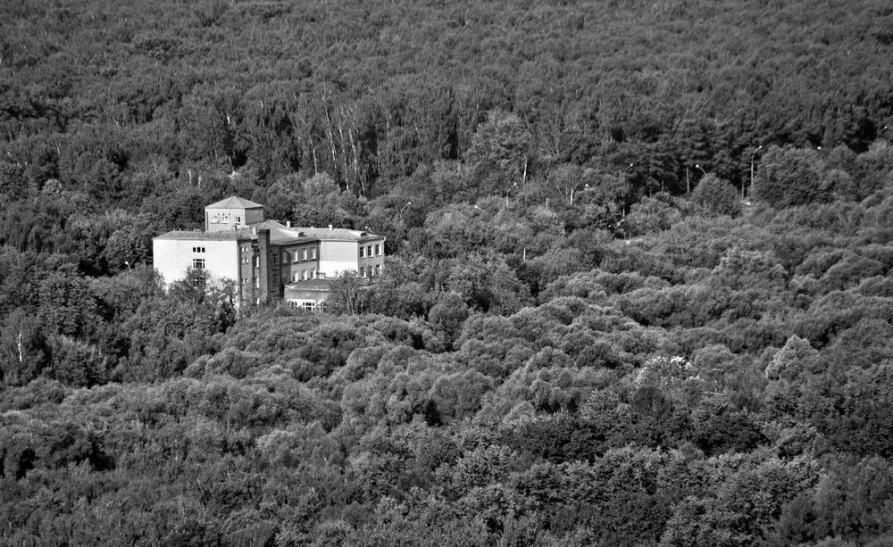 Building nestled among trees.