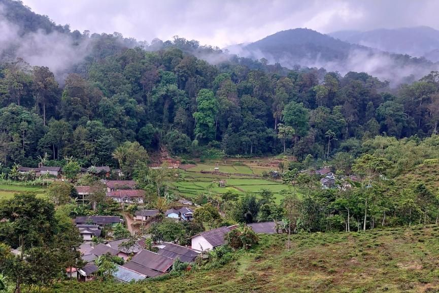 A small village surrounded by dense forest and agricultural fields, with mist covering the nearby hills in West Java.