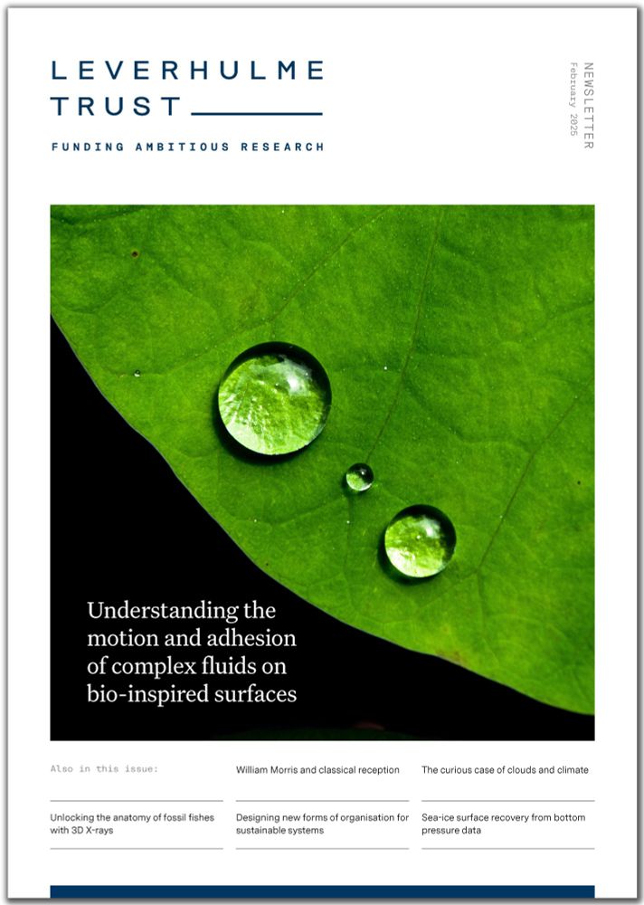 Water droplets on a leaf