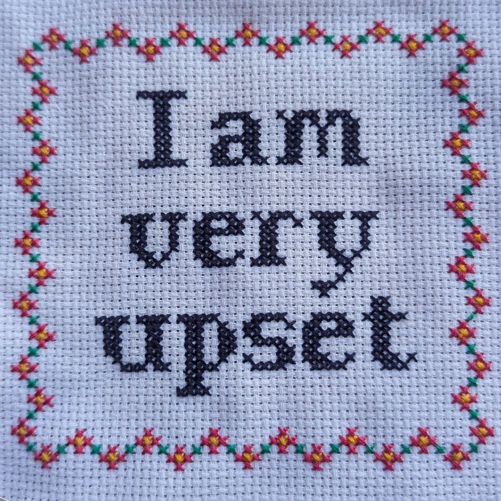 A cross stitch with a simple floral border with the words "I am very upset" stitched in the middle.