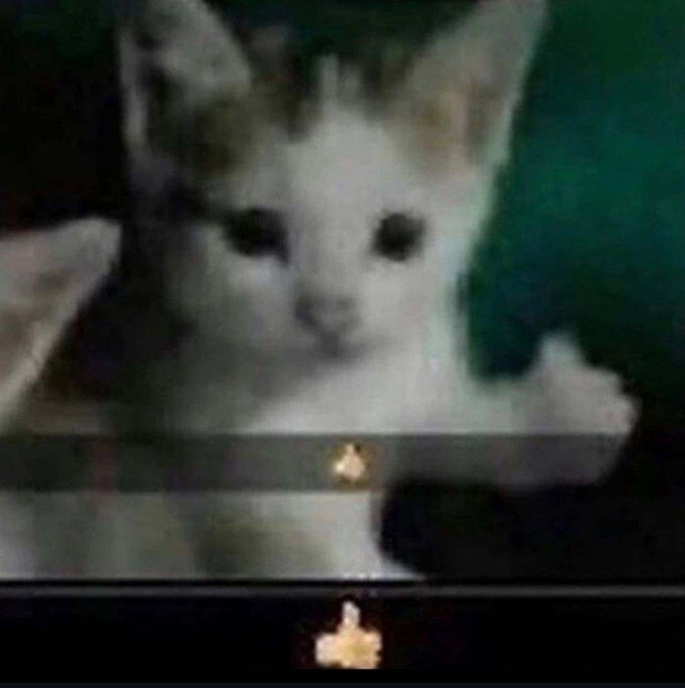 Comment image