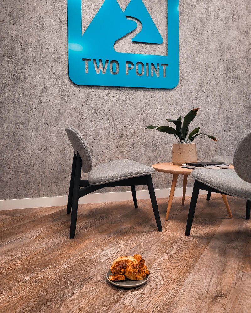 A photograph of a roast chicken on the floor. On the wall behind it, there is a blue Two Point Studios logo.
