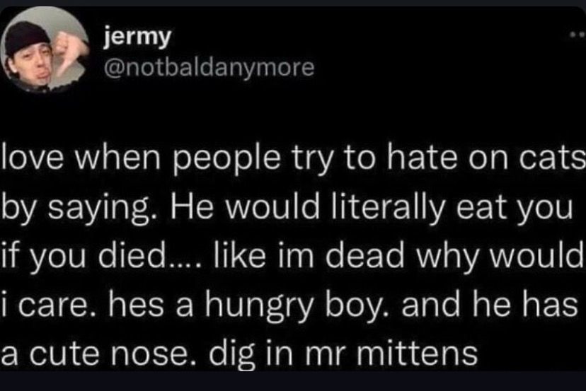 Meme: screenshot of tweet from jermy@notbaldanymore: “love when people try to hate on cats by saying. He would literally eat you if you died.... like im dead why would i care. hes a hungry boy. and he has a cute nose. dig in mr mittens”