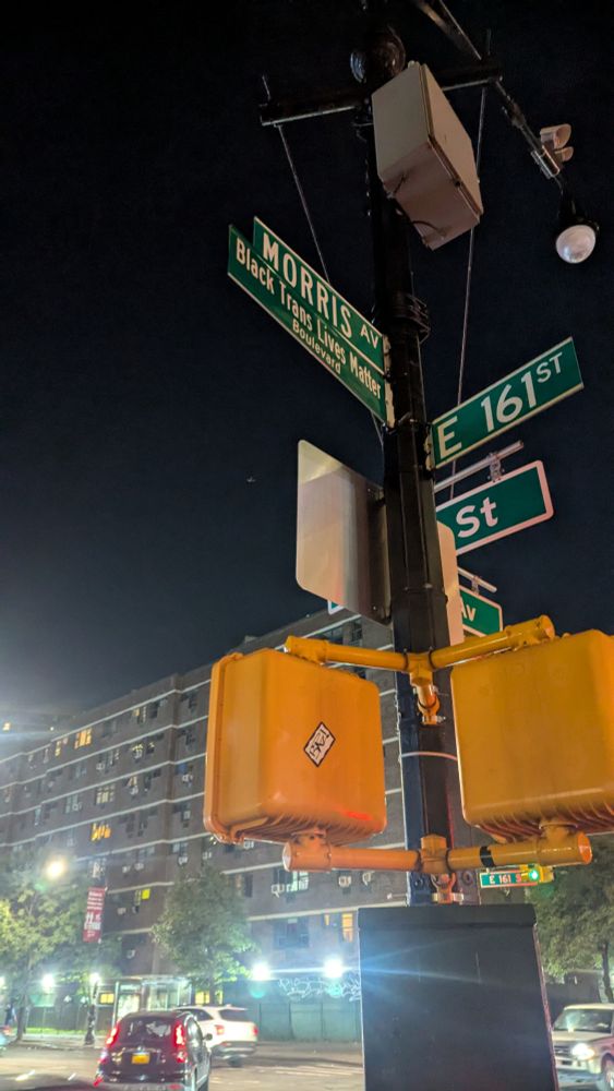 A street sign in NYC that says "Black Trans Lives Matter Boulevard"