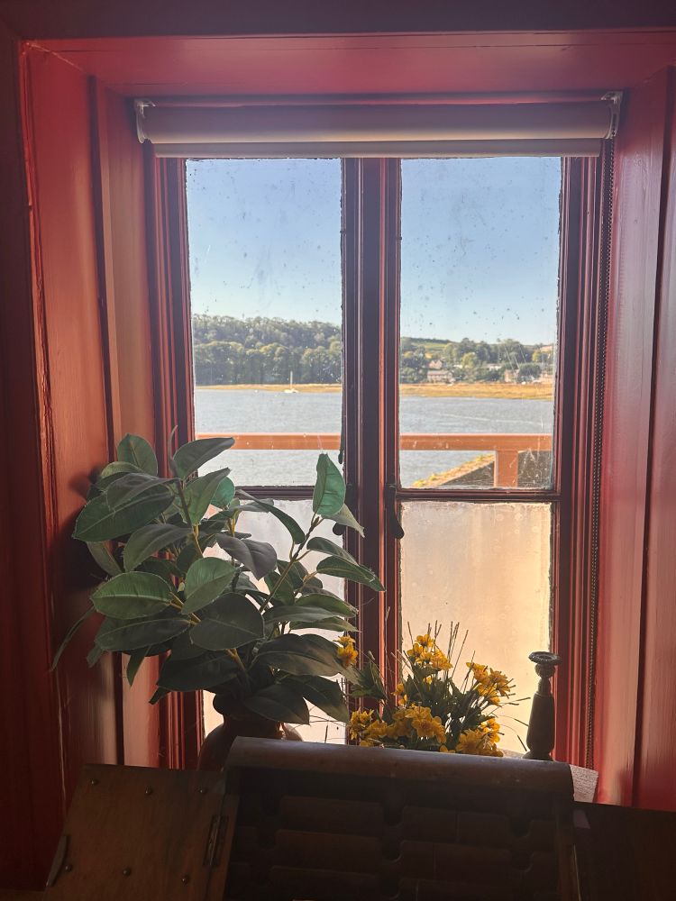 A view of Laugharne Bay from a window with a green pot plant on the window sill