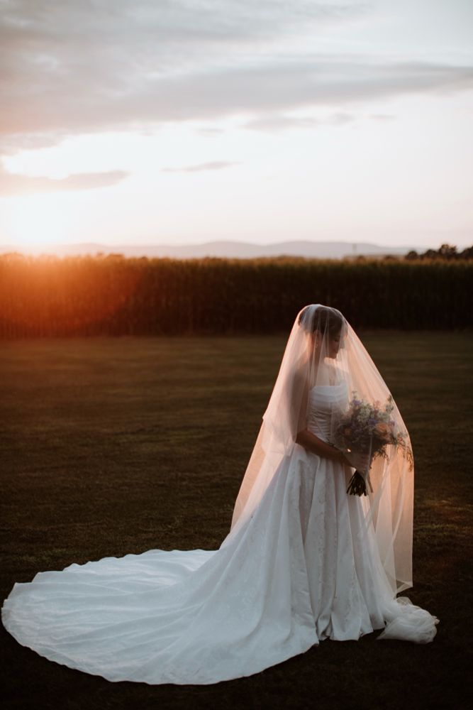 Cat in her on her wedding day in a big white dress, fanned out over grass and a veil over her body