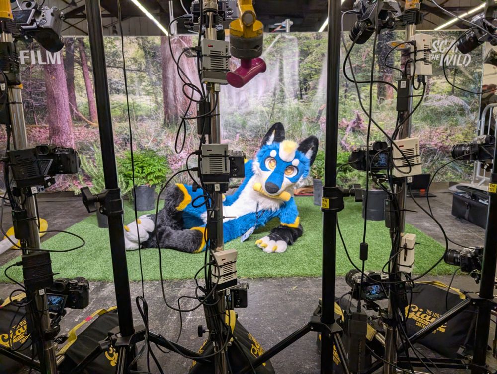 Cherenkov laying on fake grass with a forest backdrop, seen behind the scenes of a photo booth comprised of dozens of fix-mounted cameras.