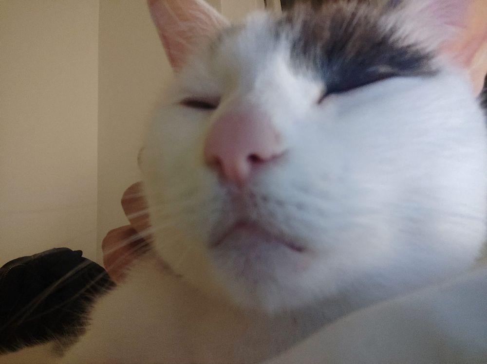 Newt quedant-se adormit
