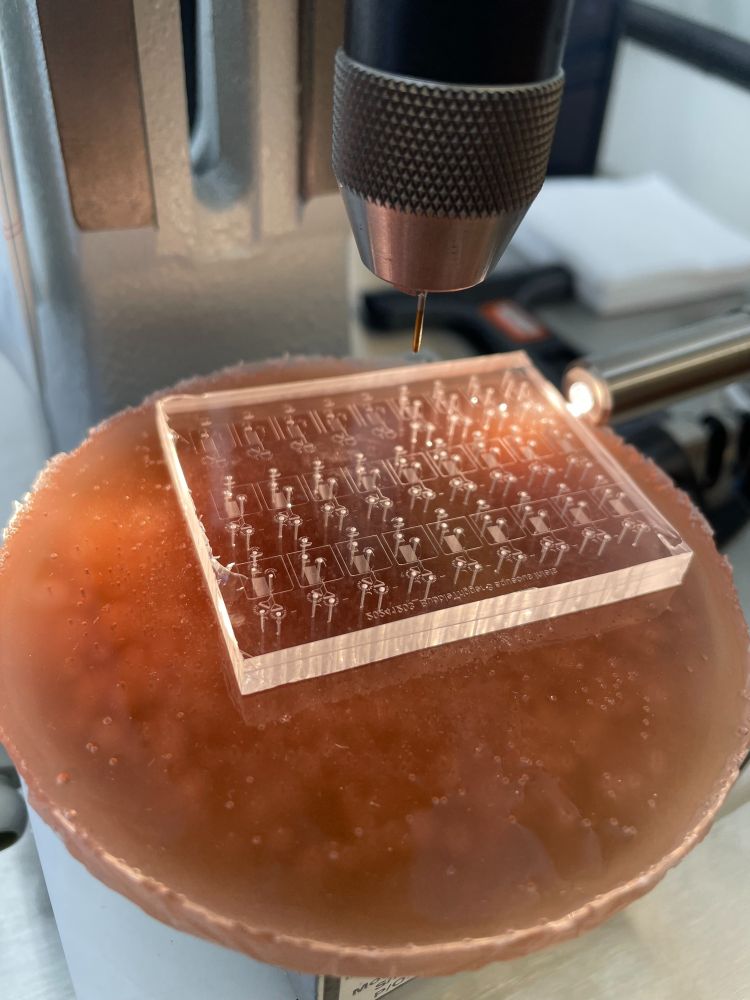 PDMS slab with molded microfluidic channels, sitting on a stand with a biopsy punch hovering ominously. fiber optic oblique illumination to visualize the microstructures for punching