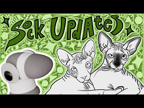 Sock Catches Up | Life Update