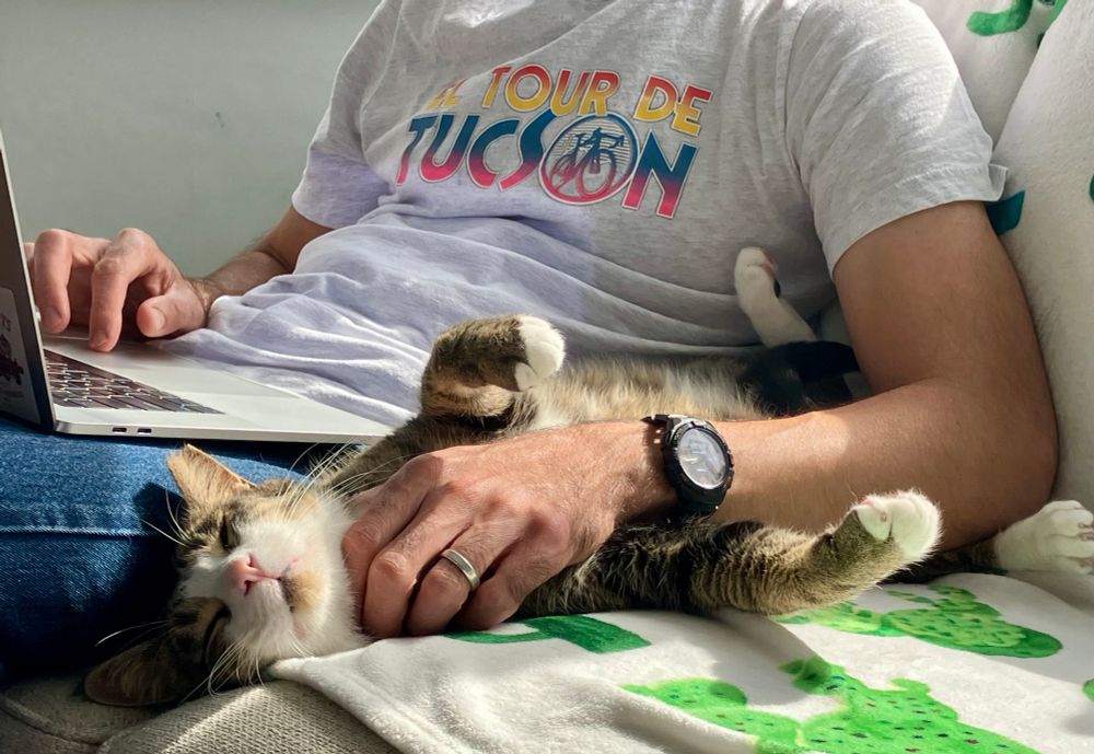 A tabby cat lounging in a sunbeam. He is on his back next to a man with a laptop. The man has one hand on the keyboard and one hand giving chin scratches