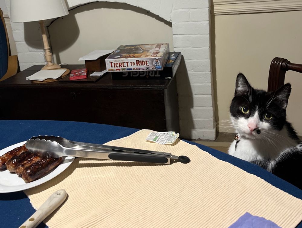 A black and white cat is sitting in a chair at a dinner table. There is no place setting in front of him, but a serving plate with sausages is nearby. 