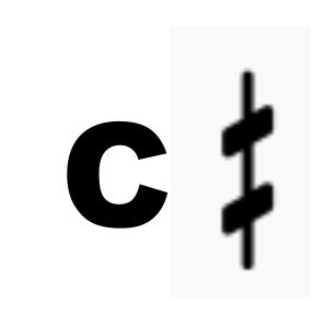 C followed by the symbol for the 1/4 tone between C and C#