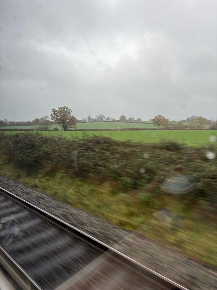 Green scenery through a rainy train window.