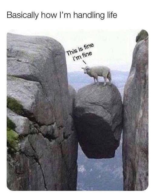 Goat on precarious perch saying, "This is fine. I'm fine."