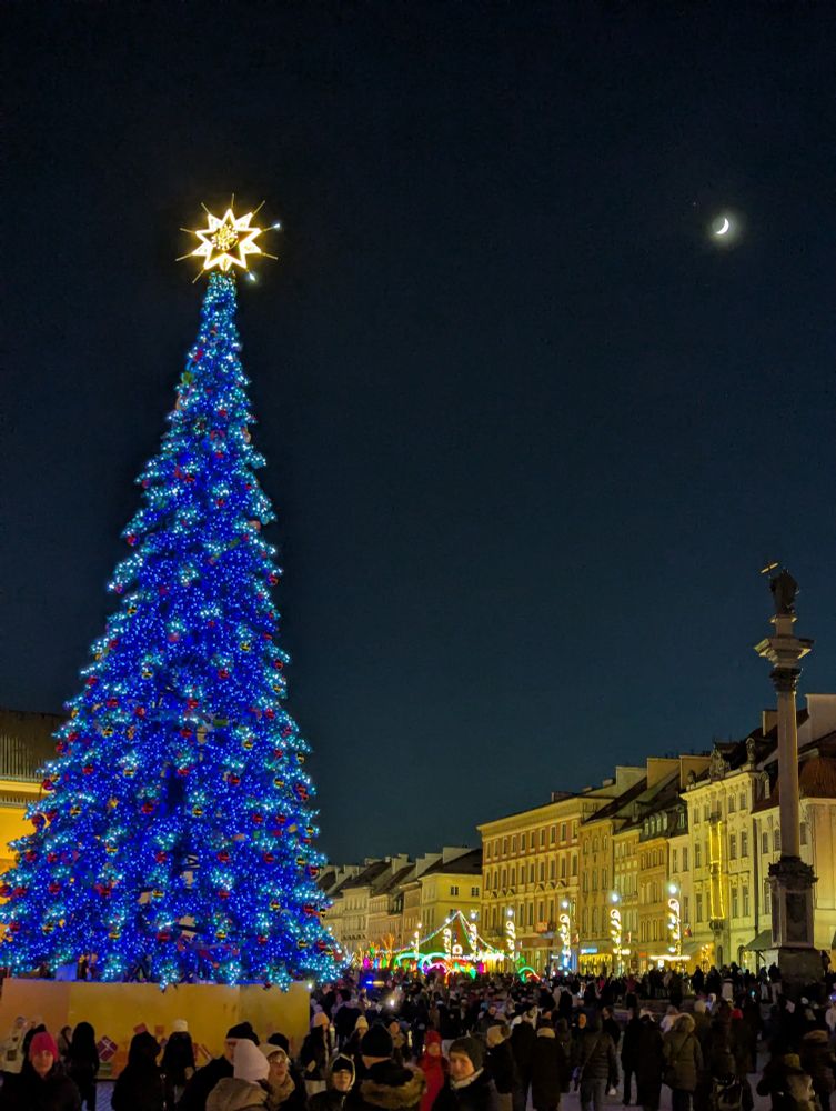 Choinka przy Zamku Królewskim