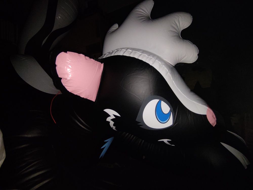 Black inflatable skunk in the dark