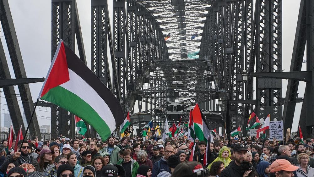 Pro-Palestine protesters are seen during the Palestine Action Group's March for Humanity in Sydney. (Flavio Brancaleone/AAP PHOTOS)