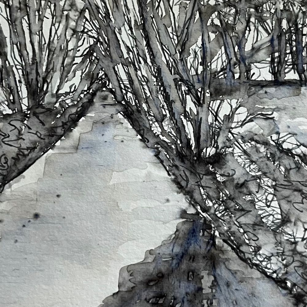 An ink sketch of a tree-lined lane. A puddle on the right hand side of the lane reflects the trees.