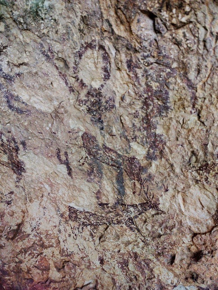 Detail of one of the coves. An Offerer figure on the top and two deers that run away scared leaving a trail of blood.