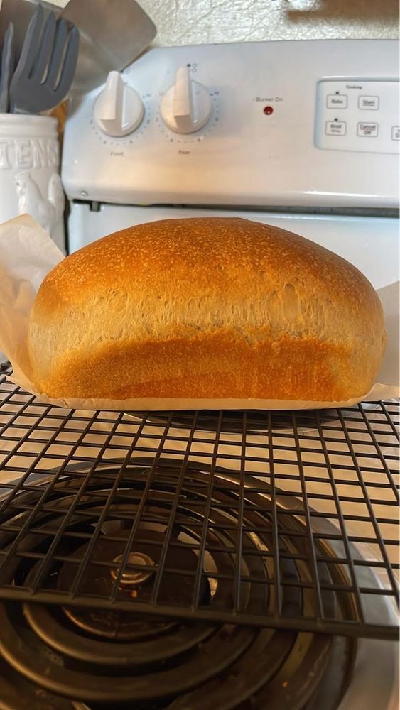 A fresh sourdough sandwich loaf sits on a wire rack 