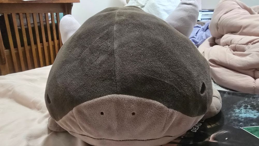 A close up photo of a Clodsire plush. His eyes are slightly closed, giving him an angry look. 