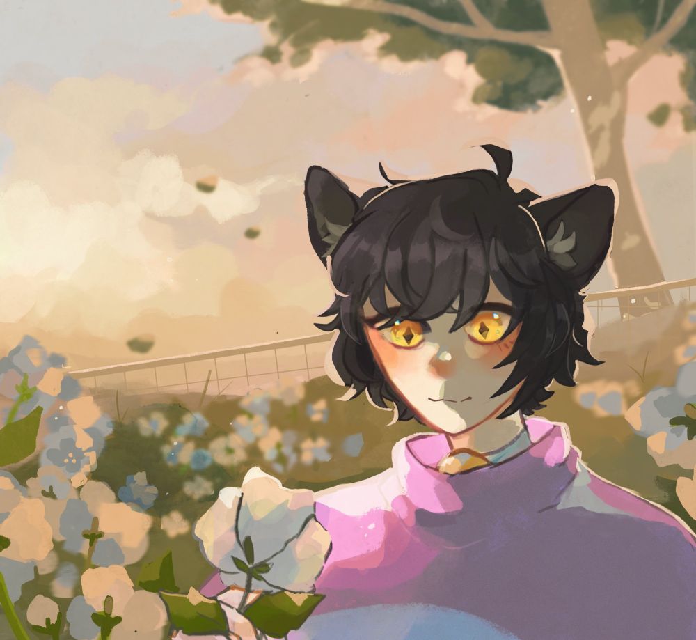 @simpleoddities.bsky.social 