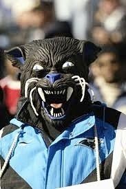 A Carolina Panther in the wild 