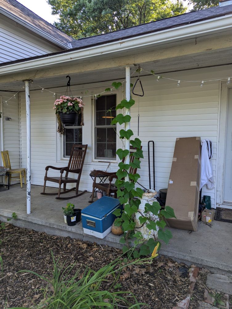 A bur cucumber plant climbing the support of a cluttered porch.