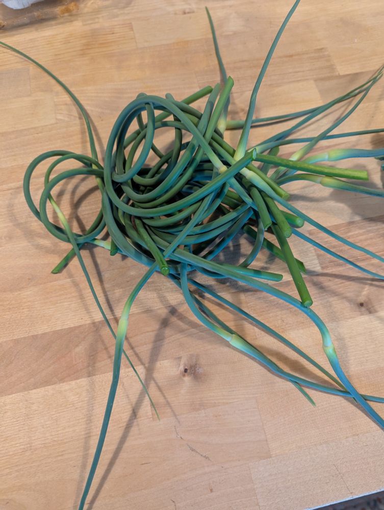A pile of garlic scapes on a butcher block countertop.