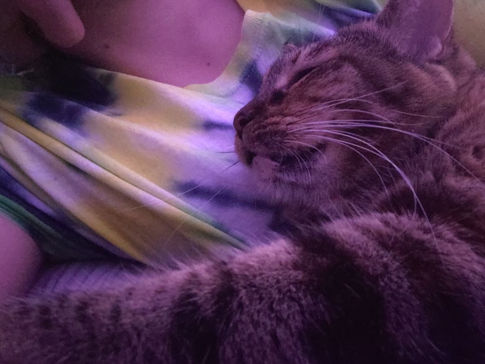 Intern, a tabby cat, is napping against Ekko's chest. Ekko is wearing a tie dye shirt in black, green, and yellow colors. 