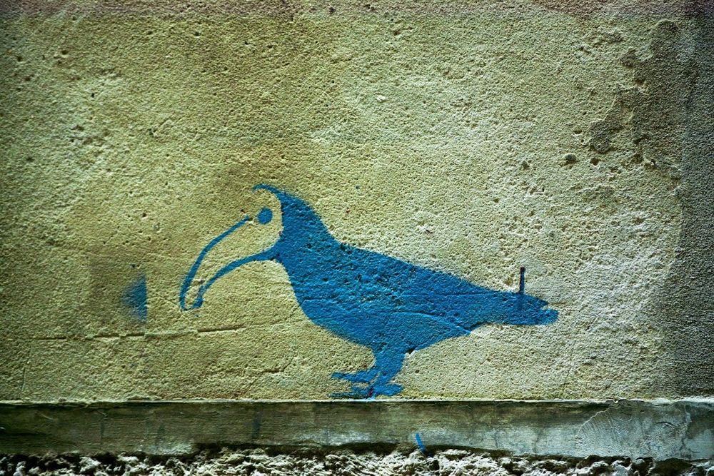 Stencil in blue of a toucan.