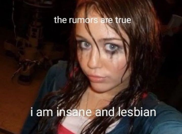 selfie of 18 year old miley cyrus with long wet brown hair and running mascara with the caption “the rumors are true
i am insane and lesbian”