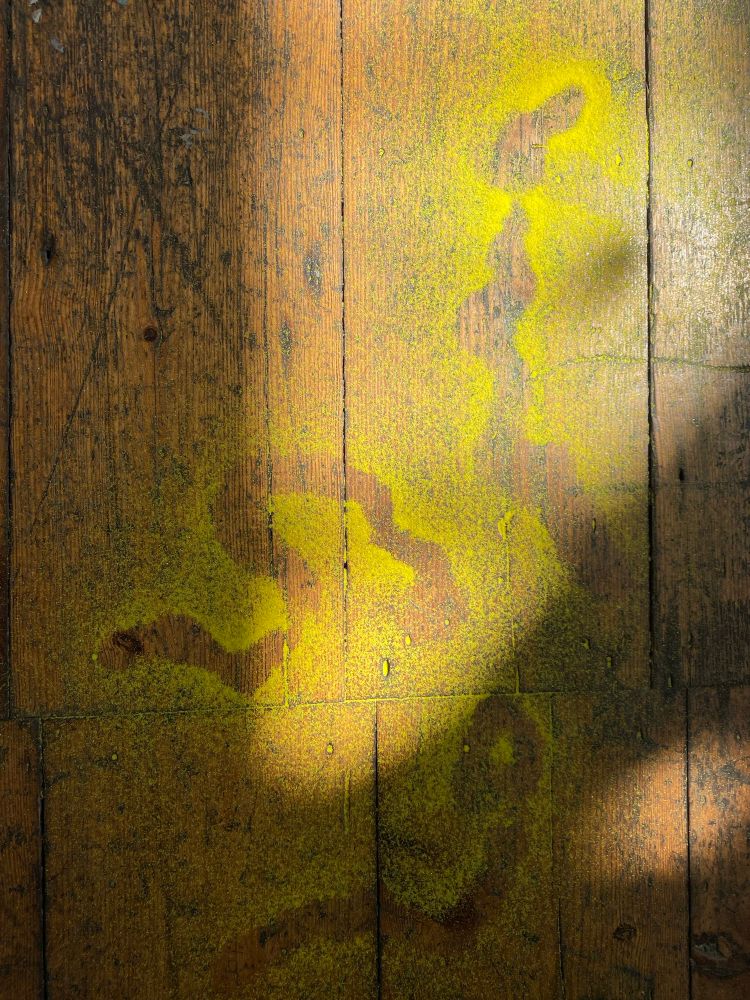 An old wooden floor, illuminated by a strip of sunlight. There are markings on the floor made using bright yellow sand.