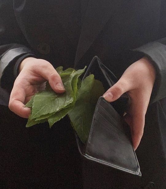 person opens their wallet to reveal it's filled with leaves