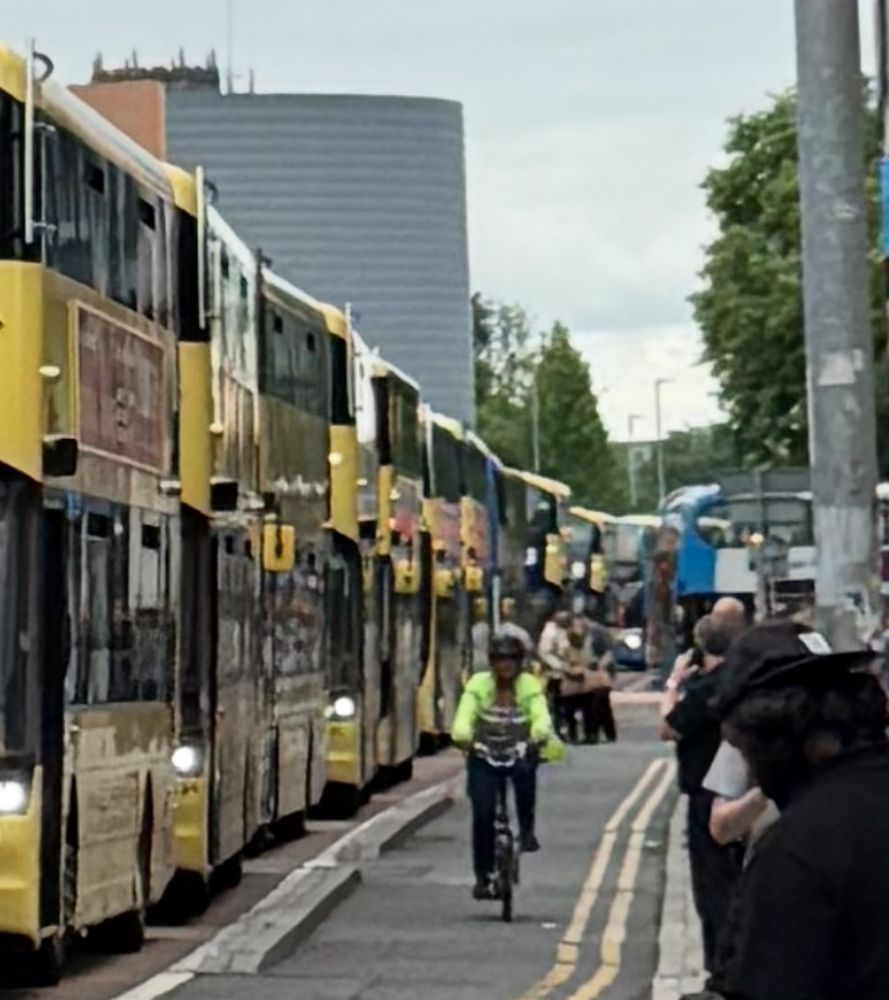 Solid line of yellow buses 