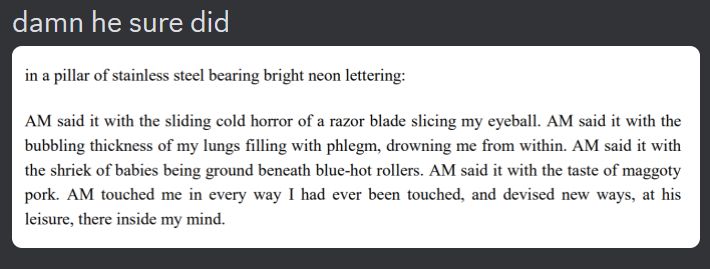 discord screenshot of me saying 'damn he sure did', where there is just a blank space where AM's speech should be