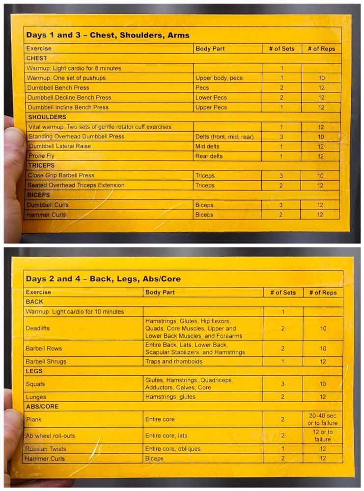 Photo features two cards. Top card has an exercise routine targeting chest, shoulders, and arms. Bottom card has an exercise routine targeting back, legs, and abs/core.