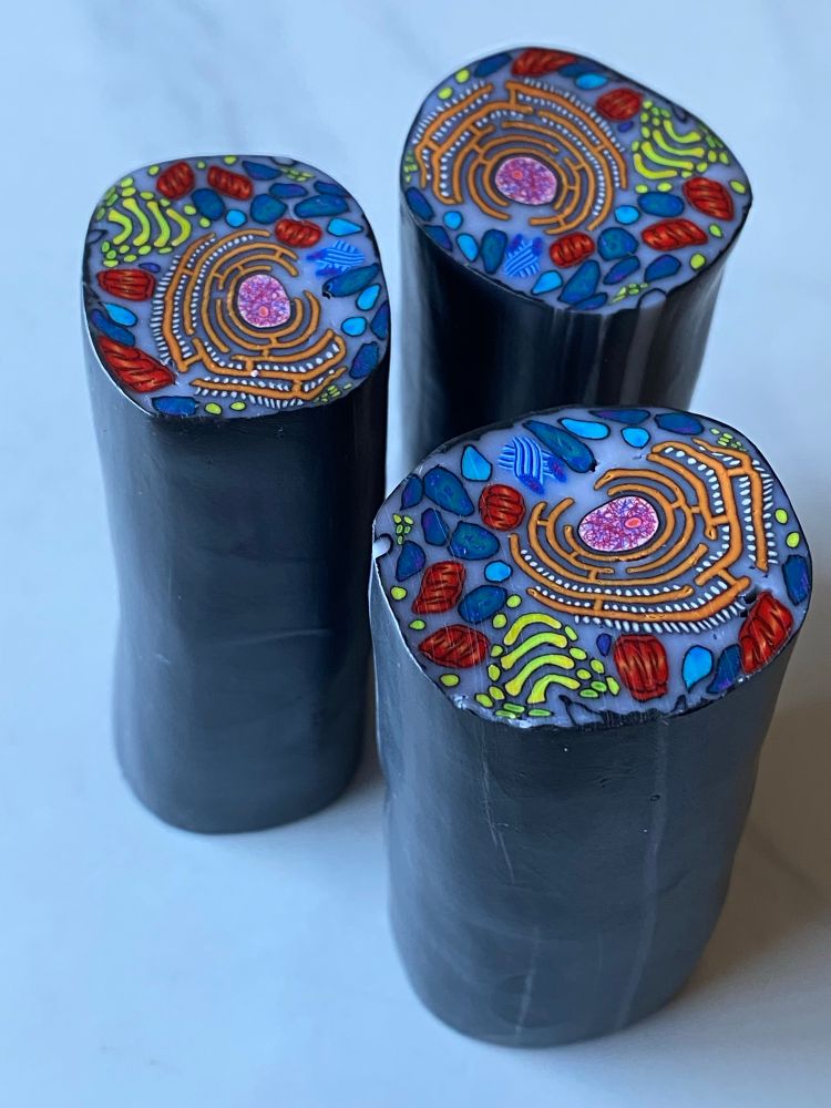 The picture shows three polymer clay cane sections that have an animal cell in cross section 