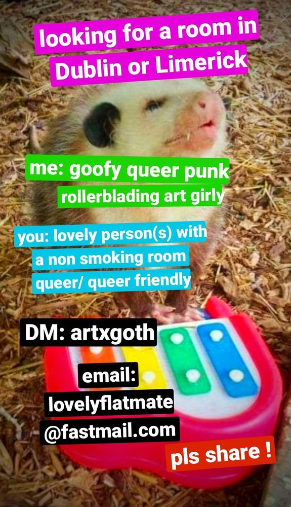 an ad looking for a room. the background image is a possum at a colorful xylophone. the text reads:

Looking for a room in Limerick or Dublin.

me: goofy queer punk rollerblading art girly.

you: lovely person (s) with a non smoking room. queer/ queer friendly.

DM: artxgoth

email: lovely flatmate at fastmail dot com