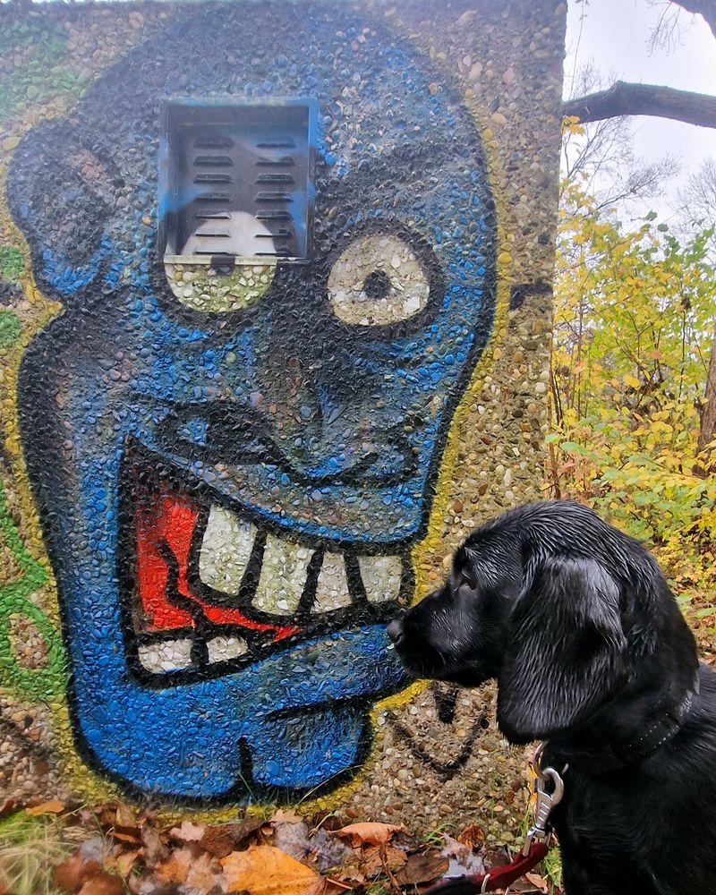 All over mood in een plaatje.

Voor de slechtzienden:
Een waterhuisje met een graffiti art impressie van een blauw hoofd met grote tanden en neus en ogen. In de rechter hoek een zwart hondje en profiel. 