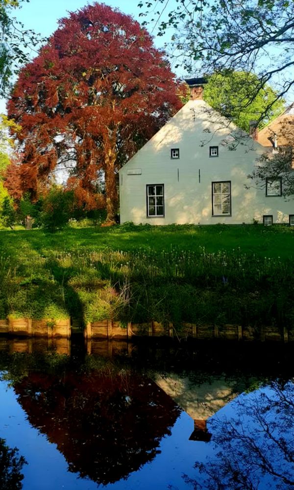 Rode beuk en witte boerderij weerspiegelen in de gracht. 