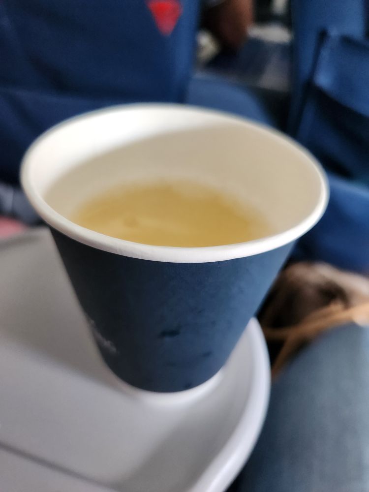 Sparkling wine in Delta Airlines paper cup