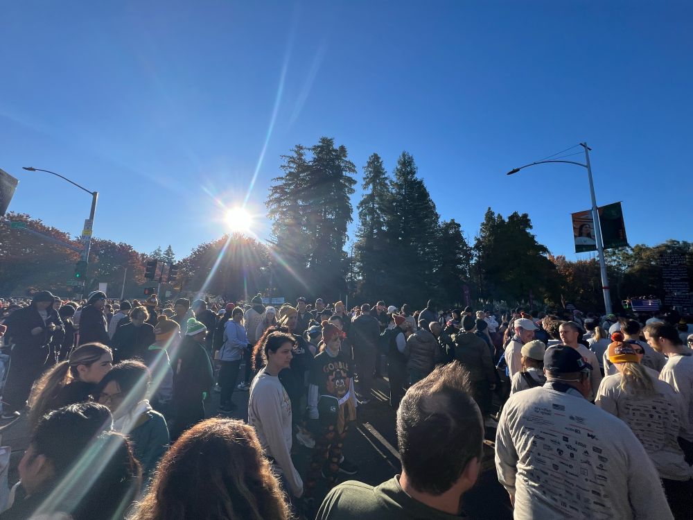 Crowd at start of the race