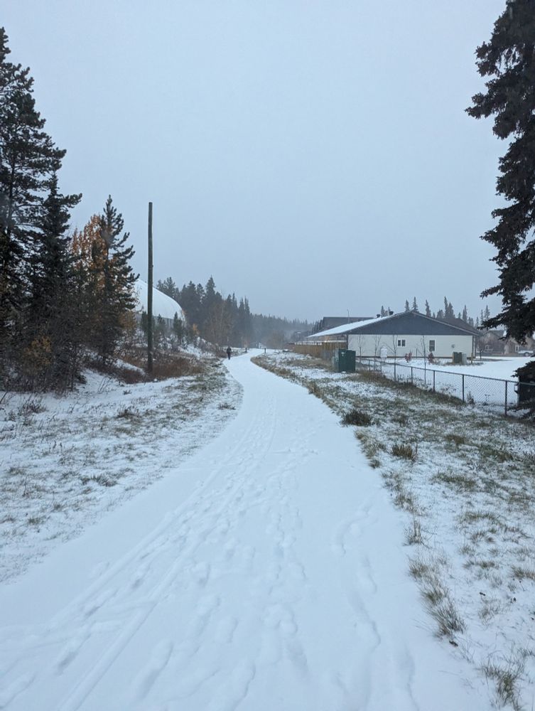 A snowy path with houses in the background.
