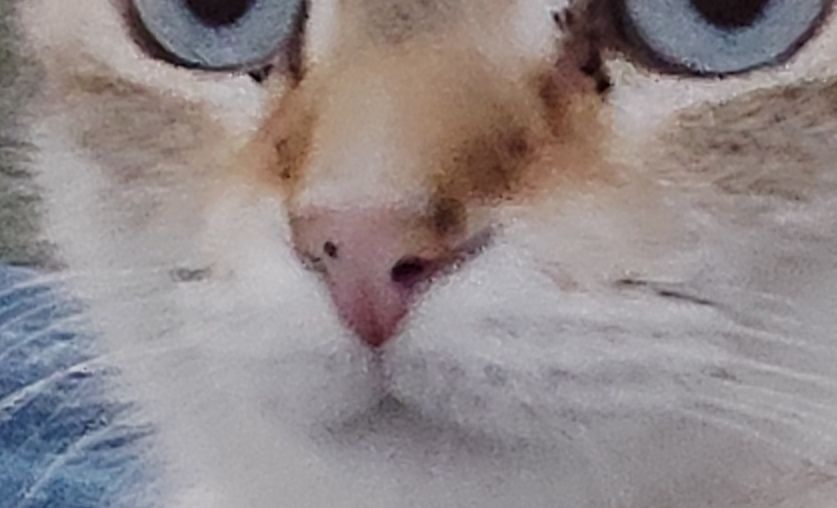 Zoom sur le grain de beauté 