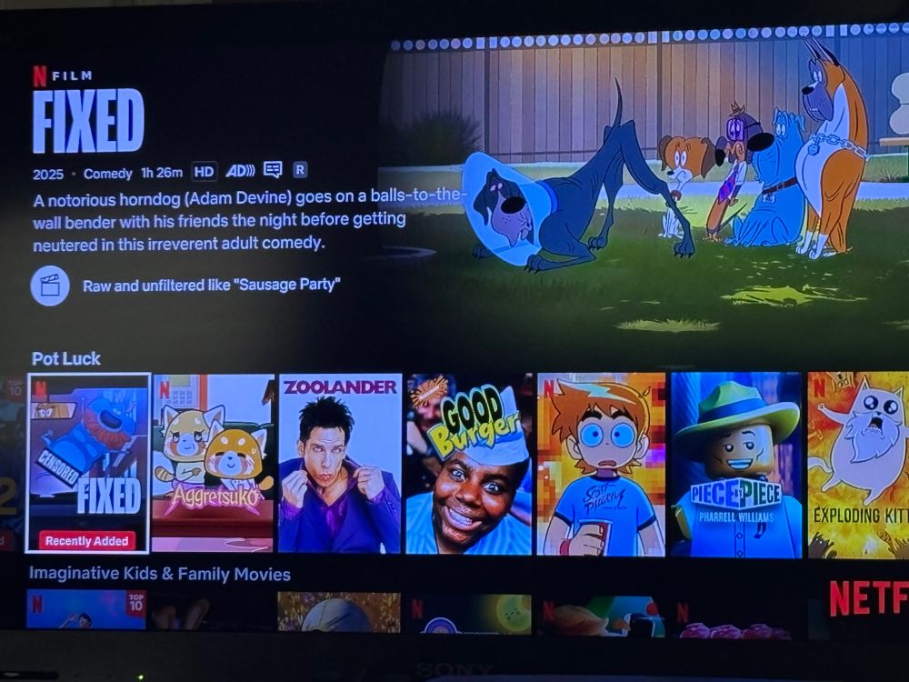 A capture of Netflix's menu screen with Genndy Tartakovsky's Fixed highlighted specifically