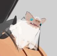 wittle white bat creature
