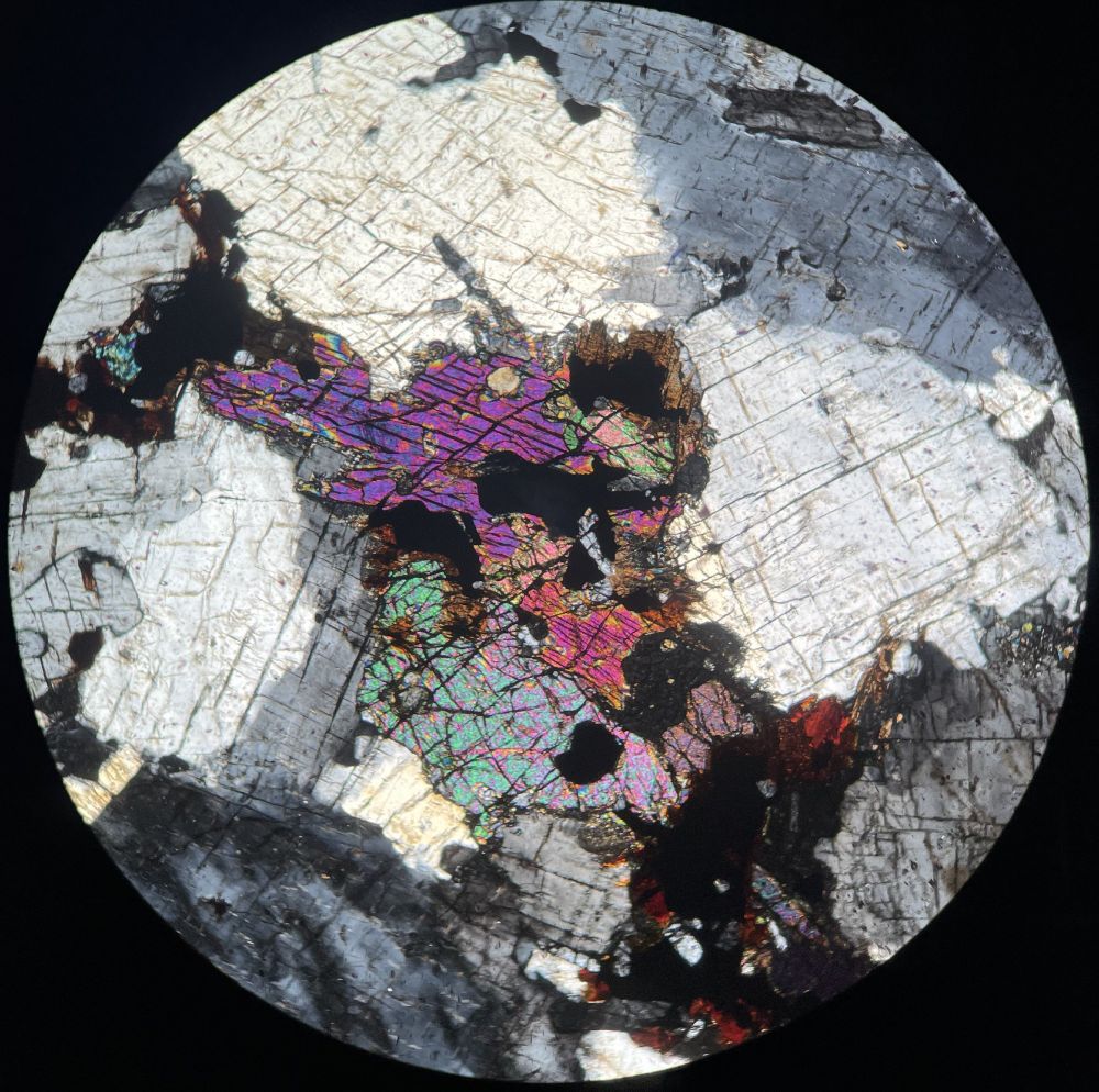 Cross polarise light view of clinopyroxene (high birefringence), opaque oxides, masked brown biotite, surrounded by large twinned feldspars.